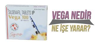 Vega 100 Hap Ne İşe Yarar